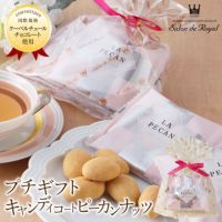 プチギフトキャンディコートピーカンナッツチョコレート